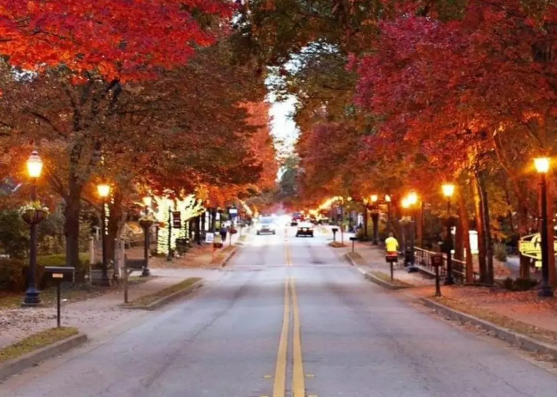 Serving Roswell and Forsyth County