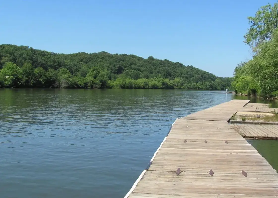 Serving Roswell and Forsyth County