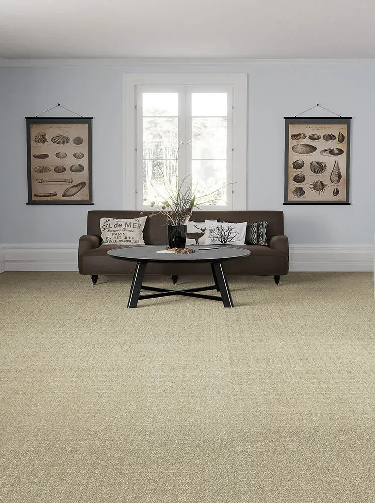 Professional carpet installation in Atlanta home