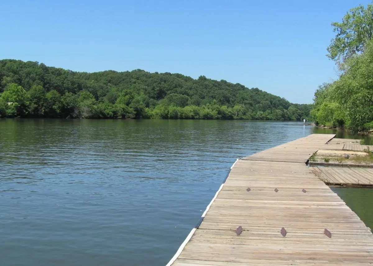 Serving Roswell and Forsyth County